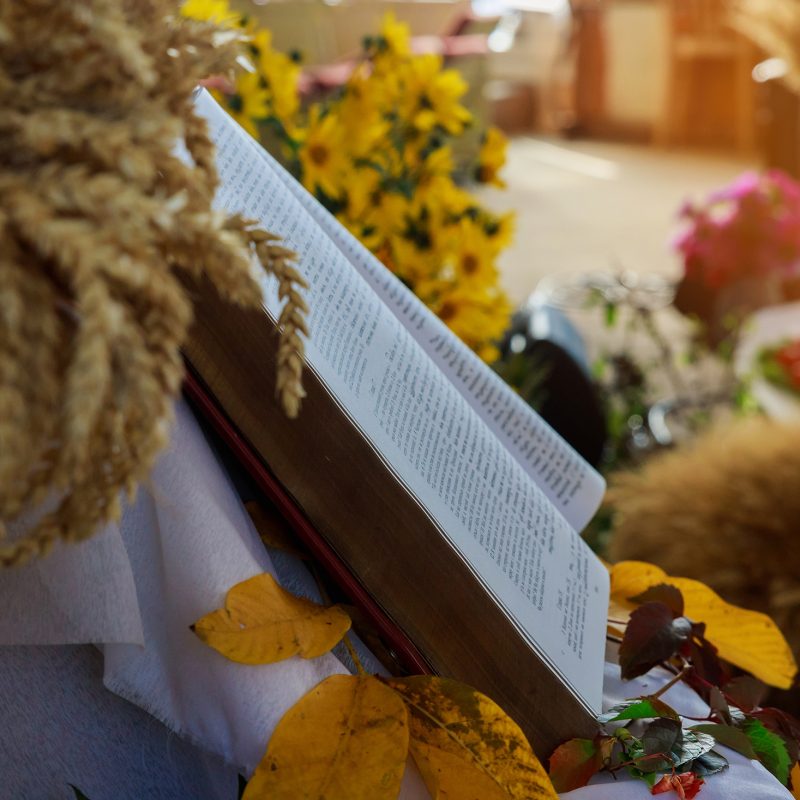 Thanksgiving day, wheat the open Bible on warm nature background autumn still-life with large group of products like