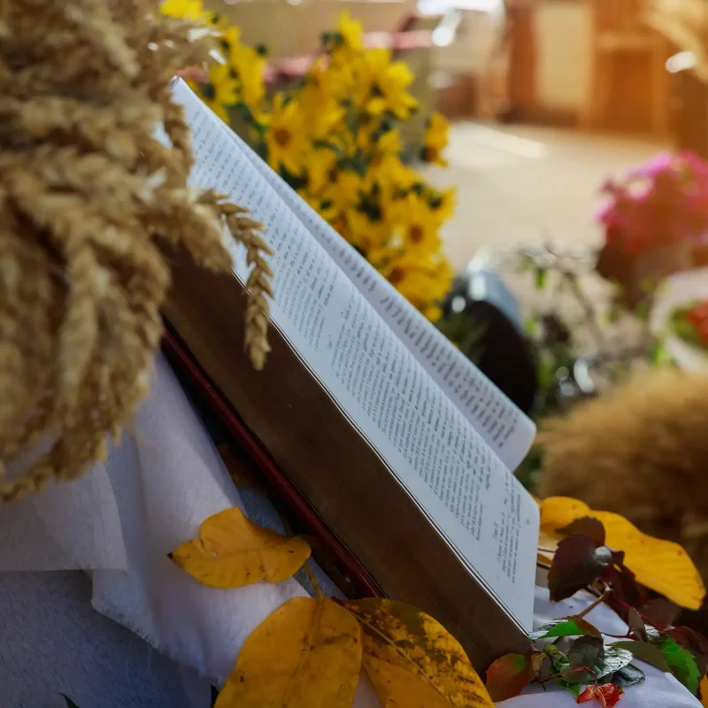 Thanksgiving day, wheat the open Bible on warm nature background autumn still-life with large group of products like